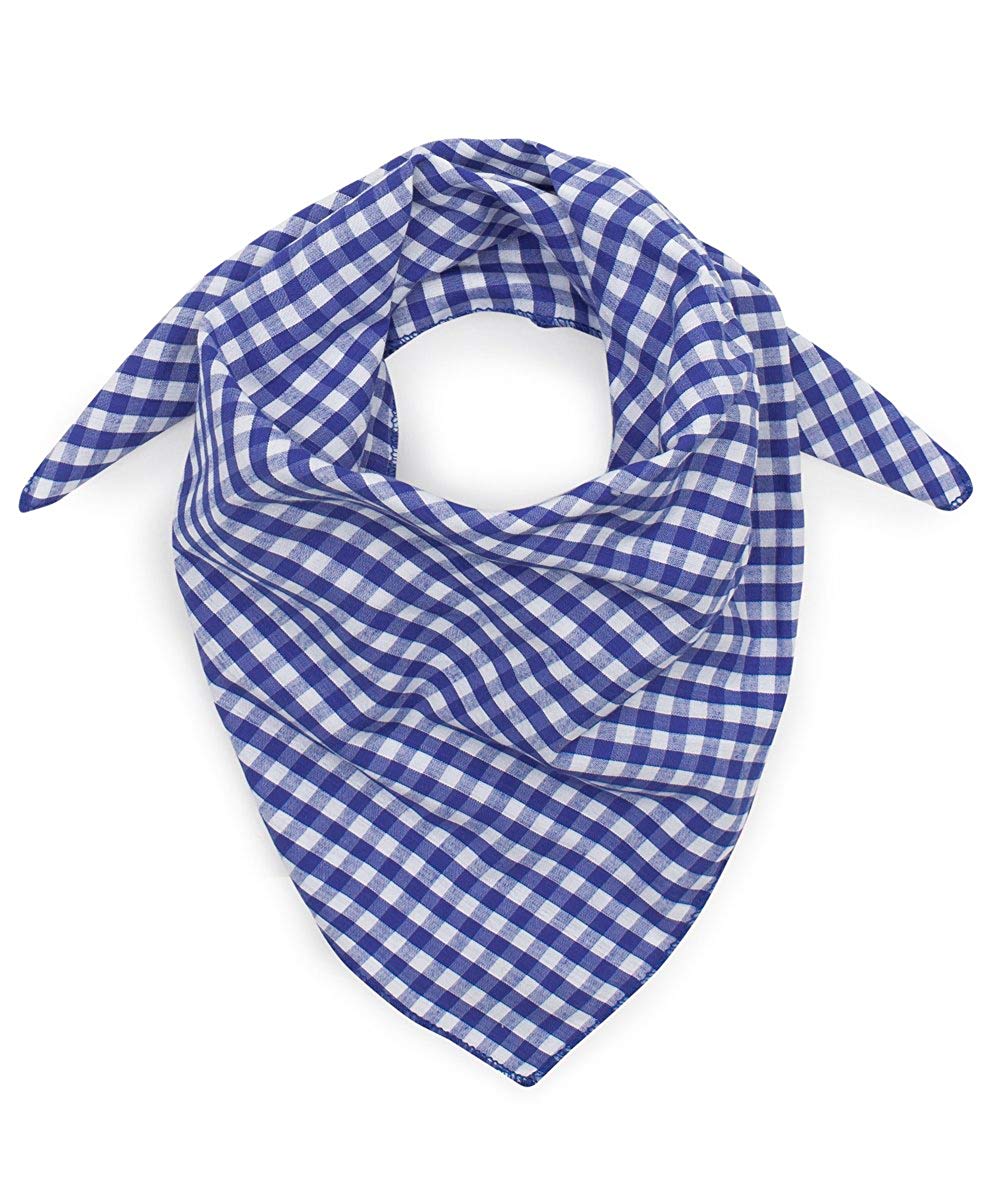 Classic Small Check Neckerchief - Blue